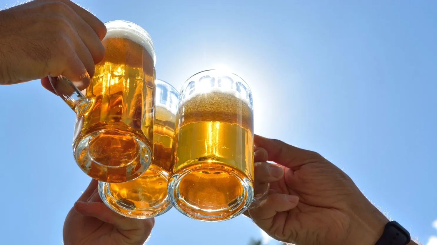 Drei Menschen stoßen mit je einem gefüllten Bierkrug an.